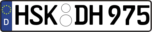 HSK-DH975