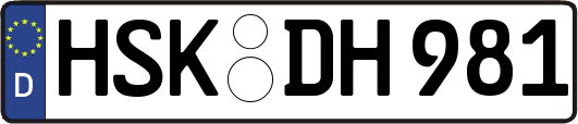 HSK-DH981