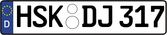 HSK-DJ317