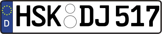 HSK-DJ517