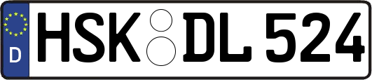 HSK-DL524