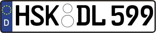 HSK-DL599