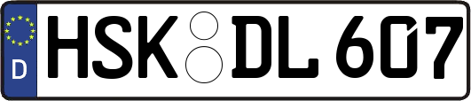 HSK-DL607
