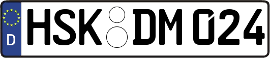 HSK-DM024
