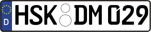 HSK-DM029