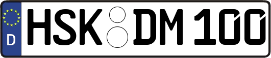 HSK-DM100