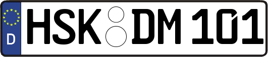 HSK-DM101