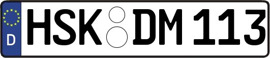 HSK-DM113