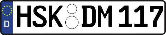 HSK-DM117