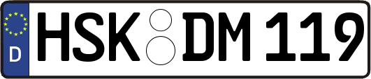 HSK-DM119