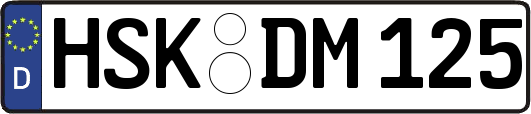 HSK-DM125