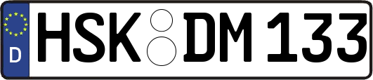 HSK-DM133