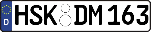 HSK-DM163