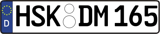 HSK-DM165