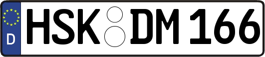 HSK-DM166