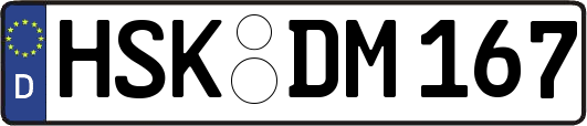 HSK-DM167
