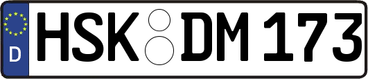 HSK-DM173