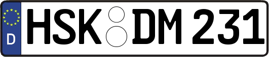 HSK-DM231