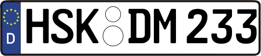 HSK-DM233