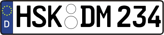 HSK-DM234