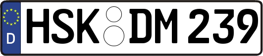 HSK-DM239