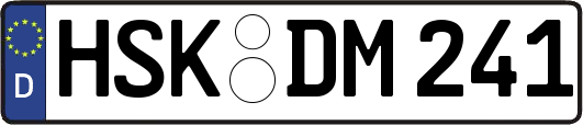HSK-DM241