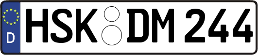 HSK-DM244