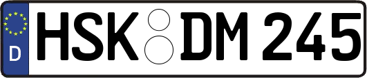 HSK-DM245