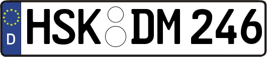 HSK-DM246