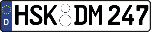 HSK-DM247