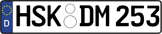 HSK-DM253