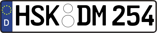 HSK-DM254