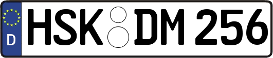 HSK-DM256
