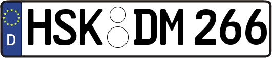 HSK-DM266