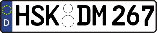 HSK-DM267
