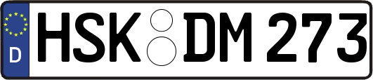 HSK-DM273