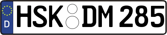HSK-DM285