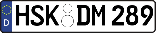 HSK-DM289
