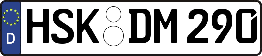 HSK-DM290