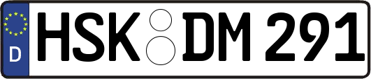 HSK-DM291