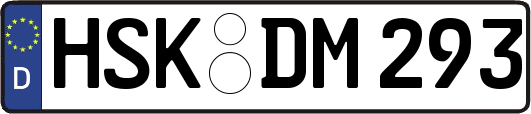 HSK-DM293