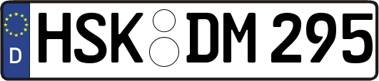 HSK-DM295