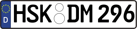 HSK-DM296