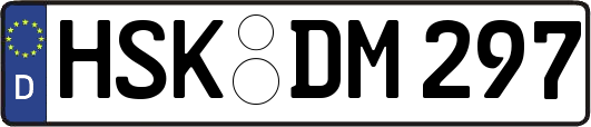 HSK-DM297