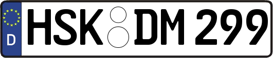 HSK-DM299