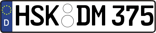 HSK-DM375