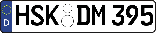 HSK-DM395