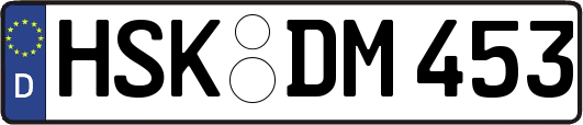 HSK-DM453