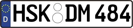 HSK-DM484