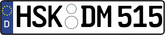 HSK-DM515